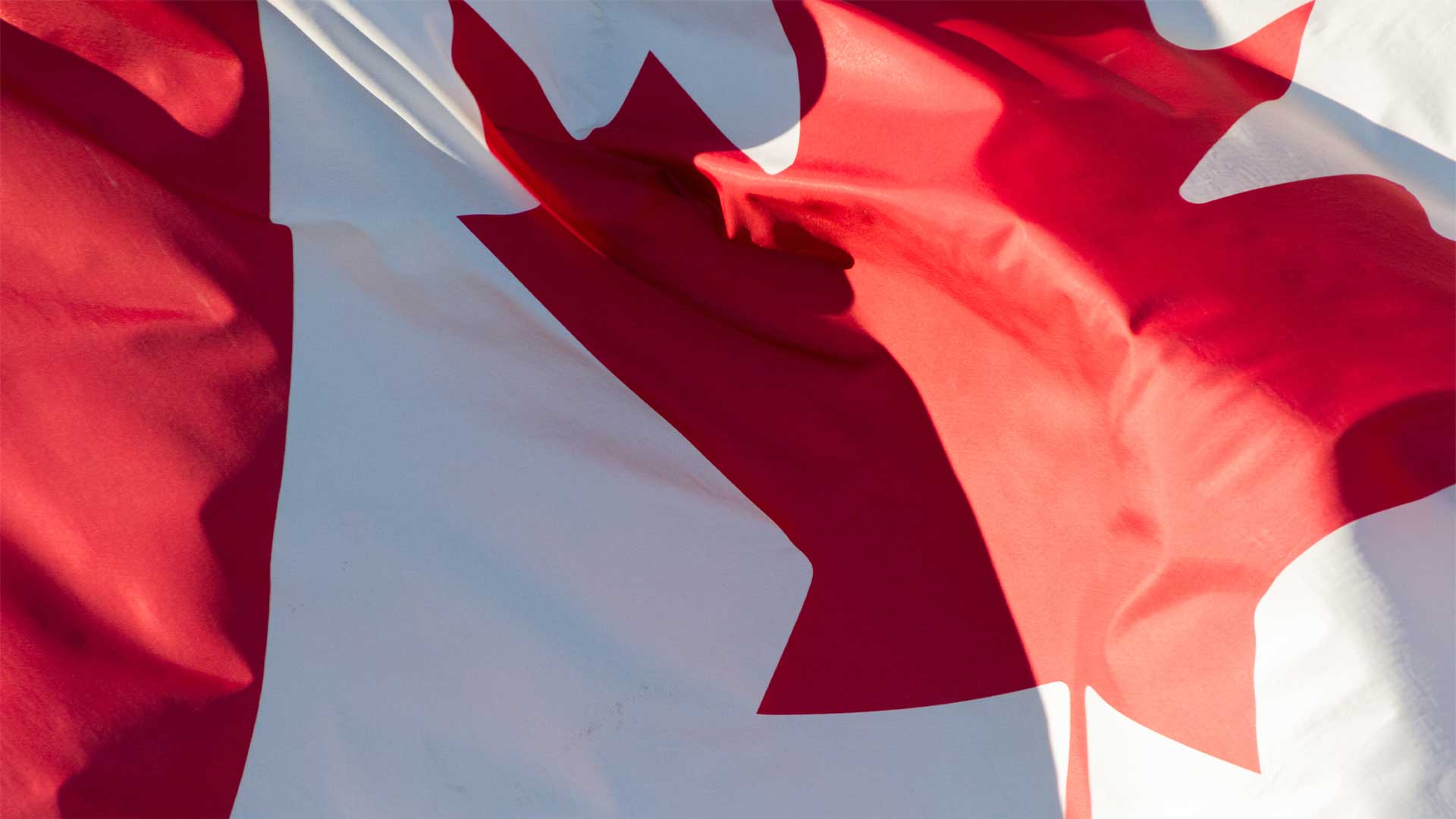 Massive Seizure of Trudeau-Funded Dangerous Drugs Shows Danger of Diversion